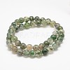 Natural Moss Agate Beads Strands X-G-F453-6mm-2