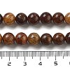 Natural Gemstone Beads Strands G-H045-A01-8MM-5