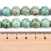 Natural Peruvian Turquoise(Jasper) Beads Strands G-F836-A02-10mm-5