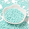 6/0 Opaque Baking Paint Glass Seed Beads X1-SEED-M012-02A-04-2