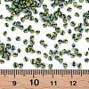 12/0 Glass Seed Beads SEED-S005-11-4