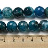 Faceted Natural Dragon Veins Agate Beads Strands G-F447-12mm-P05-5