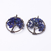 Natural Lapis Lazuli Pendants G-E419-01R-1