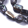 Natural Abalone Shell/Paua Shell Beads Strands SSHEL-F303-08B-3
