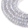 Natural Labradorite Beads Strands G-E560-R06-01-3