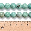 Natural Peruvian Turquoise(Jasper) Beads Strands G-L642-B08-10mm-5
