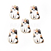 Alloy Enamel Pendants LS-X-ENAM-M046-12G-A-3