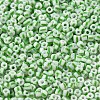 6/0 Opaque Colours Seep Glass Seed Beads SEED-F003-04A-06-3