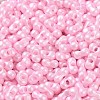 Glass Seed Beads SEED-L011-04A-07-3