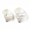 Natural Spiral Shell Beads SSHEL-N034-126-5