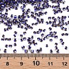 12/0 Glass Seed Beads SEED-S005-32-4