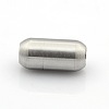 304 Stainless Steel Matte Surface Magnetic Clasps with Glue-in Ends STAS-O042-B-24-2