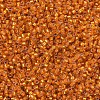 MIYUKI Delica Beads SEED-J020-DB0681-3