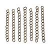 Iron Ends with Twisted Chains CH-CH017-5cm-AB-1