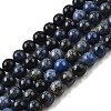 Natural Grade AA Dumortierite Quartz Round Bead Strands G-P075-43-4mm-2
