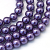 Baking Paint Pearlized Glass Pearl Round Bead Strands X-HY-Q003-4mm-59-1