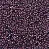 MIYUKI Round Rocailles Beads SEED-JP0010-RR0386-3