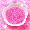 Transparent Colours Glass Seed Beads SEED-H003-01E-2
