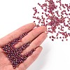 Round Glass Seed Beads SEED-A007-3mm-165B-4