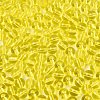 FGB Transparent Glass Seed Beads SEED-N013-01B-12-3