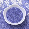 MIYUKI Delica Beads SEED-X0054-DB0243-2