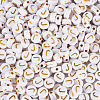 500Pcs Plating Acrylic Beads PACR-TADJ0001-01J-2