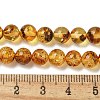 Natural Amber Beads Strands G-K387-D02-01-5
