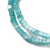 Natural Amazonite Beads Strands G-B064-A05-4