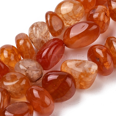 Natural Agate Beads Strands G-L560-M10-1