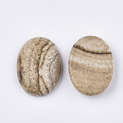 Natural Picture Jasper Cabochons G-S349-25A-01-1