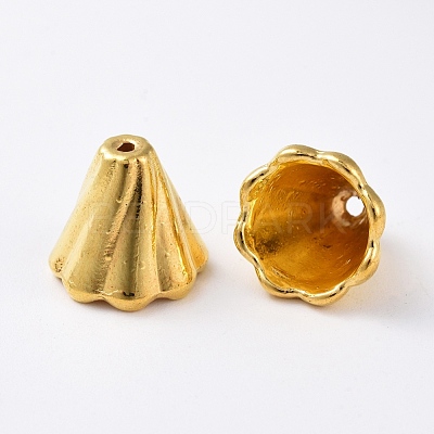 Tibetan Style Bead Caps EA10181Y-G-1