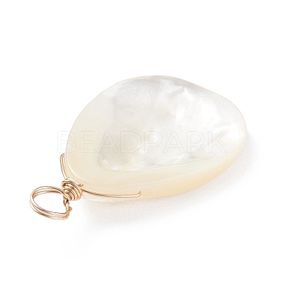 Natural Trochid Shell/Trochus Shell Pendants X-PALLOY-JF01393-1