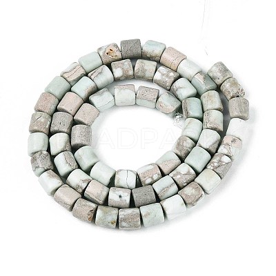 Natural Variscite Beads Strands G-T141-96A-1