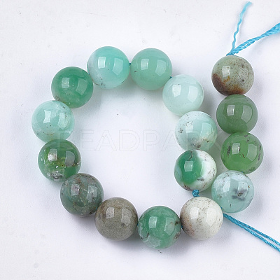 Natural Chrysoprase Beads Strands G-S333-12mm-037-1