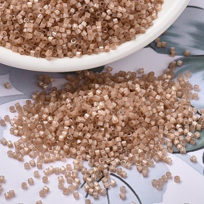 MIYUKI Delica Beads SEED-J020-DB1803-1