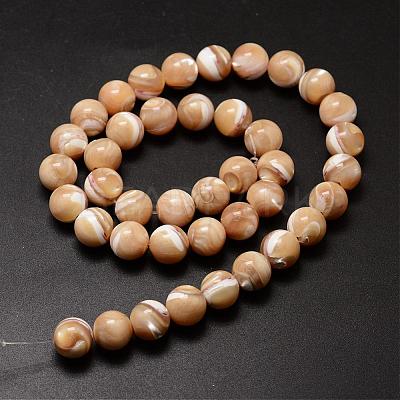 Natural Sea Shell Beads Strands SSHEL-K013-10mm-B-1