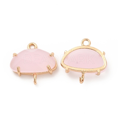 K9 Glass Connector Charms KK-E071-24KCG-02-1