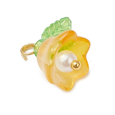 9Pcs 9 Colors Glass Charms PALLOY-MZ00838-1