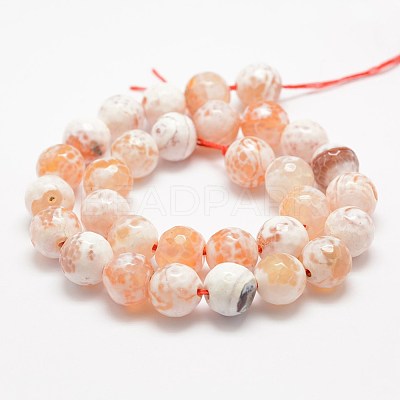 Faceted Natural Fire Crackle Agate Beads Strands G-F447-12mm-B03-1