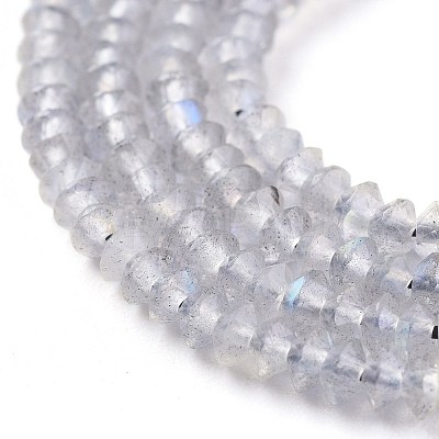 Natural Labradorite Beads Strands G-E560-R06-01-1