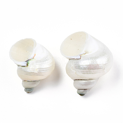 Natural Spiral Shell Beads SSHEL-N034-126-1