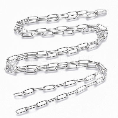 Tarnish Resistant 304 Stainless Steel Paperclip Chains CHS-S006-JN957-1-1