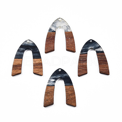 Transparent Resin & Walnut Wood Pendants RESI-N025-029-C-1