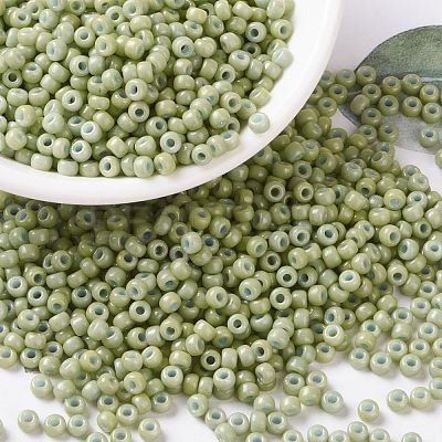 MIYUKI Round Rocailles Beads X-SEED-G008-RR4473-1