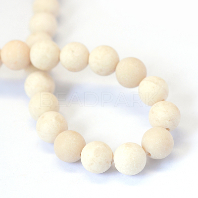 Frosted Natural Fossil Round Bead Strands G-E334-12mm-22-1