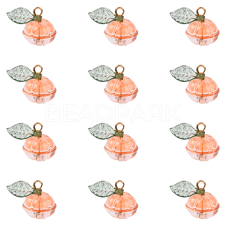 20Pcs Transparent Glass Charms PALLOY-YW00094-1
