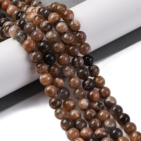 Natural Black Moonstone Beads Strands G-A219-A01-02-1