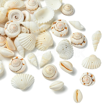 48Pcs 4 Styles Natural Shell Beads BSHE-YW0001-06-1