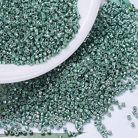 MIYUKI Delica Beads X-SEED-J020-DB0432-1