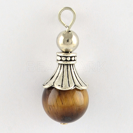 Natural Tiger Eye Pendants LS-G-Q459-02L-1